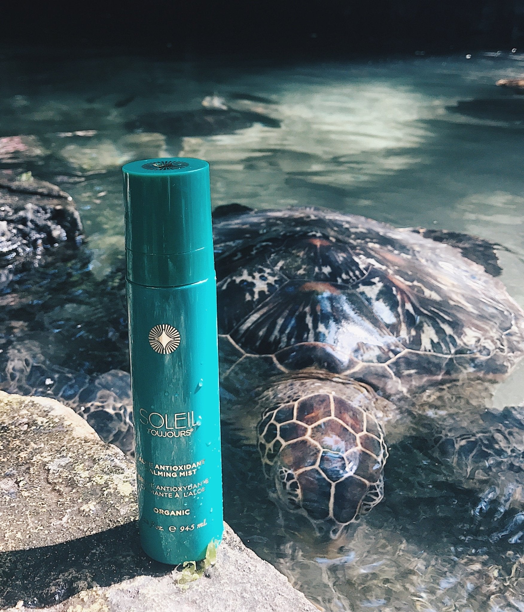 Help save our coral reefs: ban all products containing oxybenzone. | Soleil Toujours